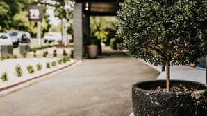 A potted tree in a planter on a sidewalk. - The Amalfi 20 bedrooms, exclusive use (Hepburn Springs)