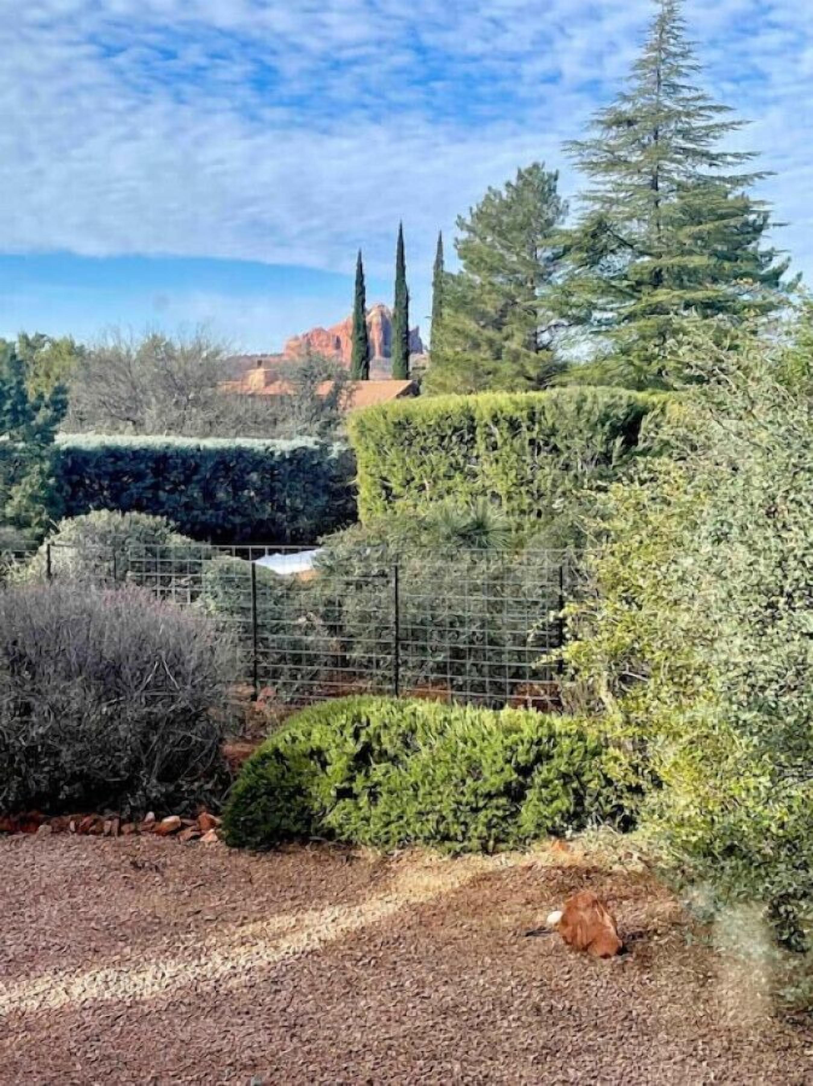 Ein angelegter Garten mit verschiedenen Sträuchern und Bäumen, einem Kiesweg und einem entfernten Blick auf ein Gebirge.