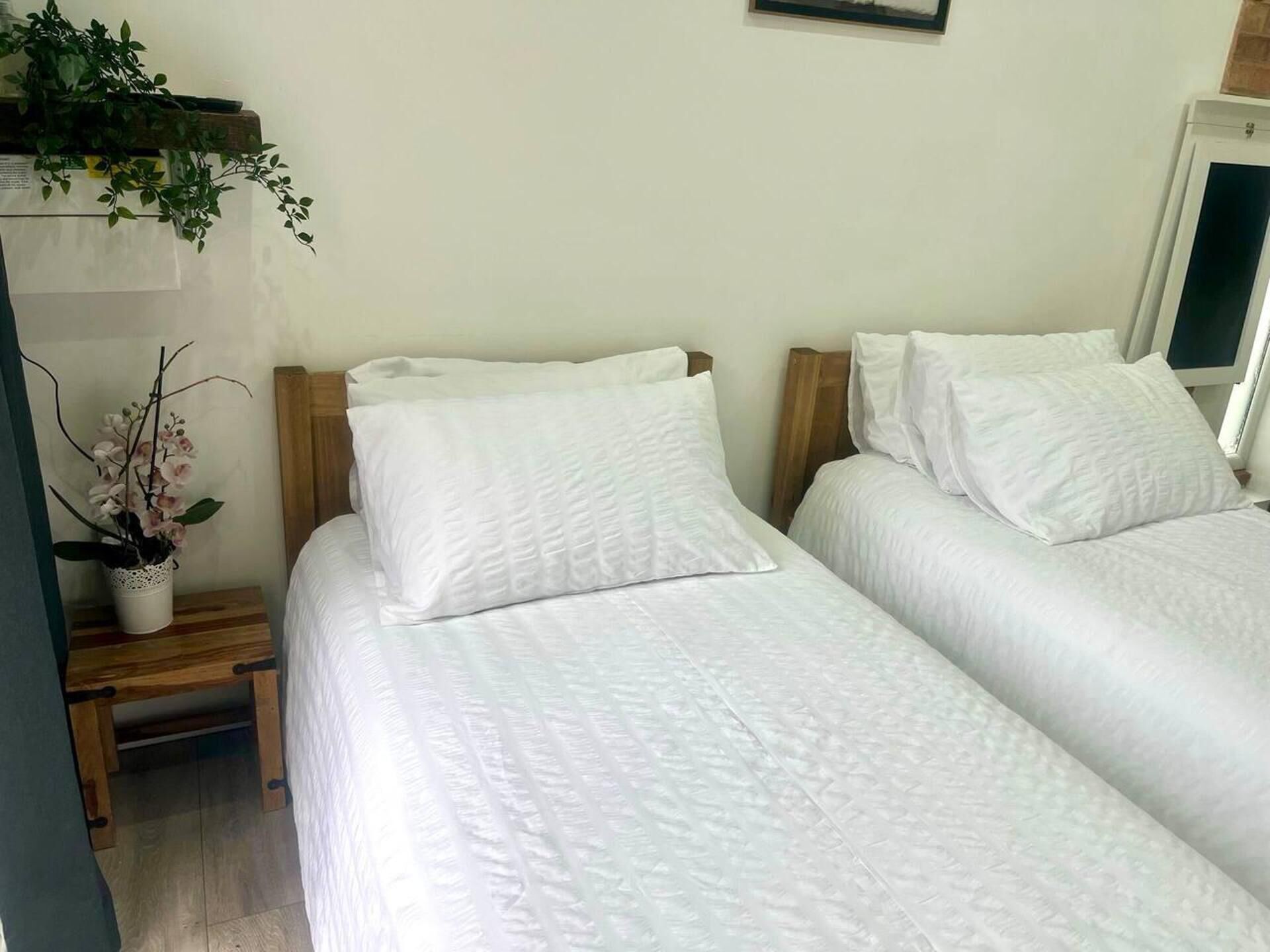 A bedroom with two beds, each with white linens and wooden headboards. There is a small table with a potted plant beside one bed.
