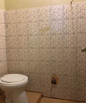 Deluxe-Doppelzimmer | Badezimmer | Dusche, Handtücher, Toilettenpapier