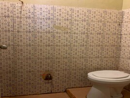 Ducha, toallas, papel higiénico