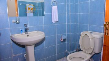 Deluxe Double Room | Bathroom | Shower, rainfall showerhead, free toiletries, slippers