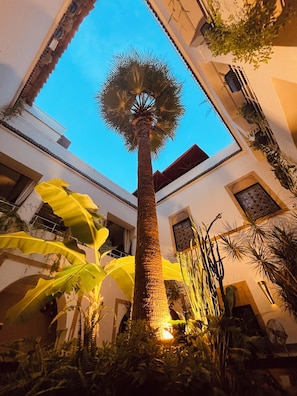 Un patio con una palmera alta, diversas plantas y un edificio con balcones y ventanas.