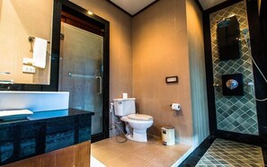 Combined shower/bathtub, hair dryer, bidet