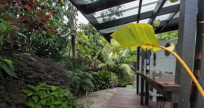 Tropical Bungalow in New Plymouth