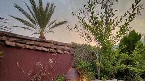 Un jardin sur le toit, agrémenté de plantes en pot, d’une lanterne décorative et d’un palmier.