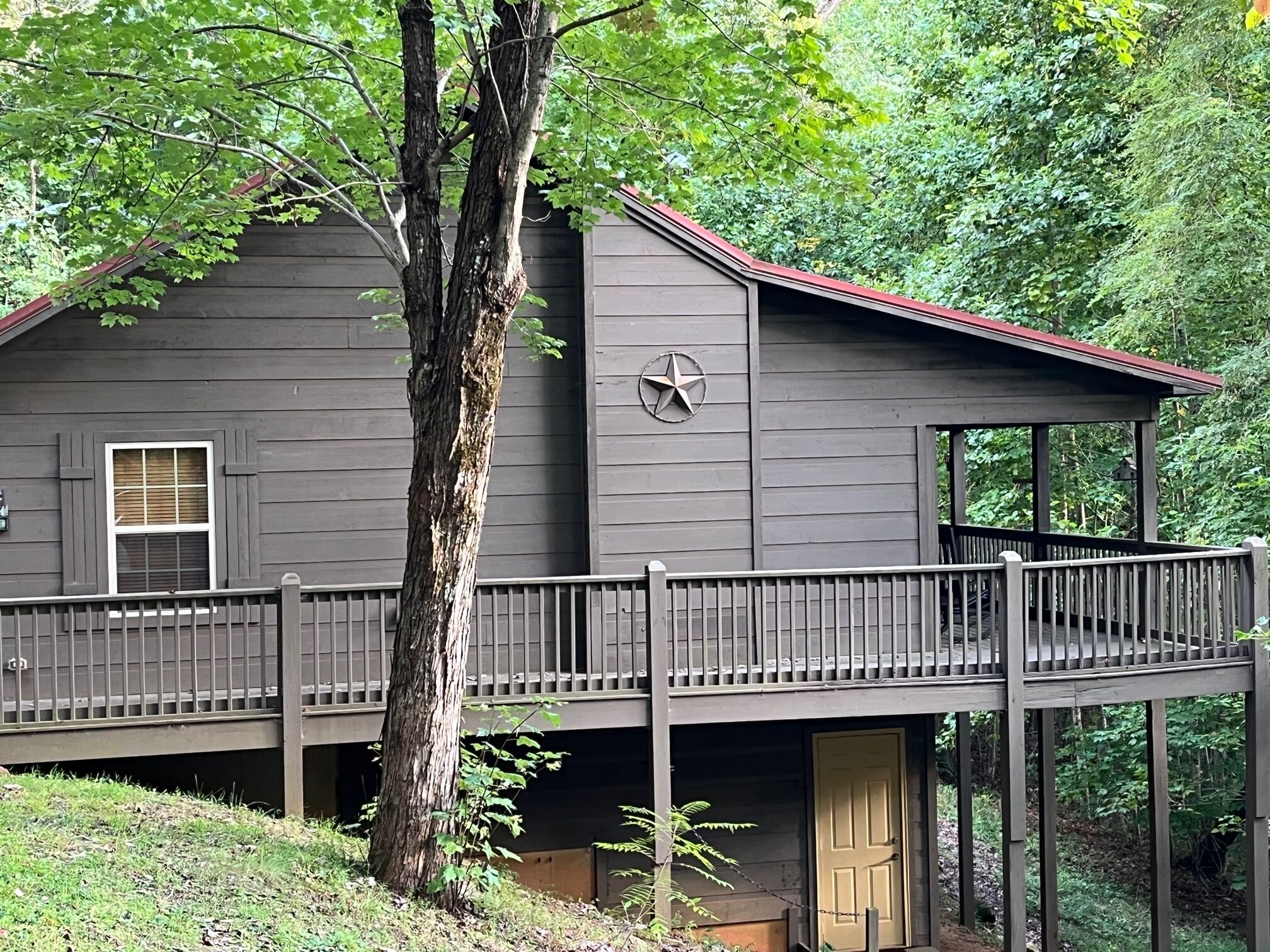 2 Bedroom 1 Bath Hayesville Cabin