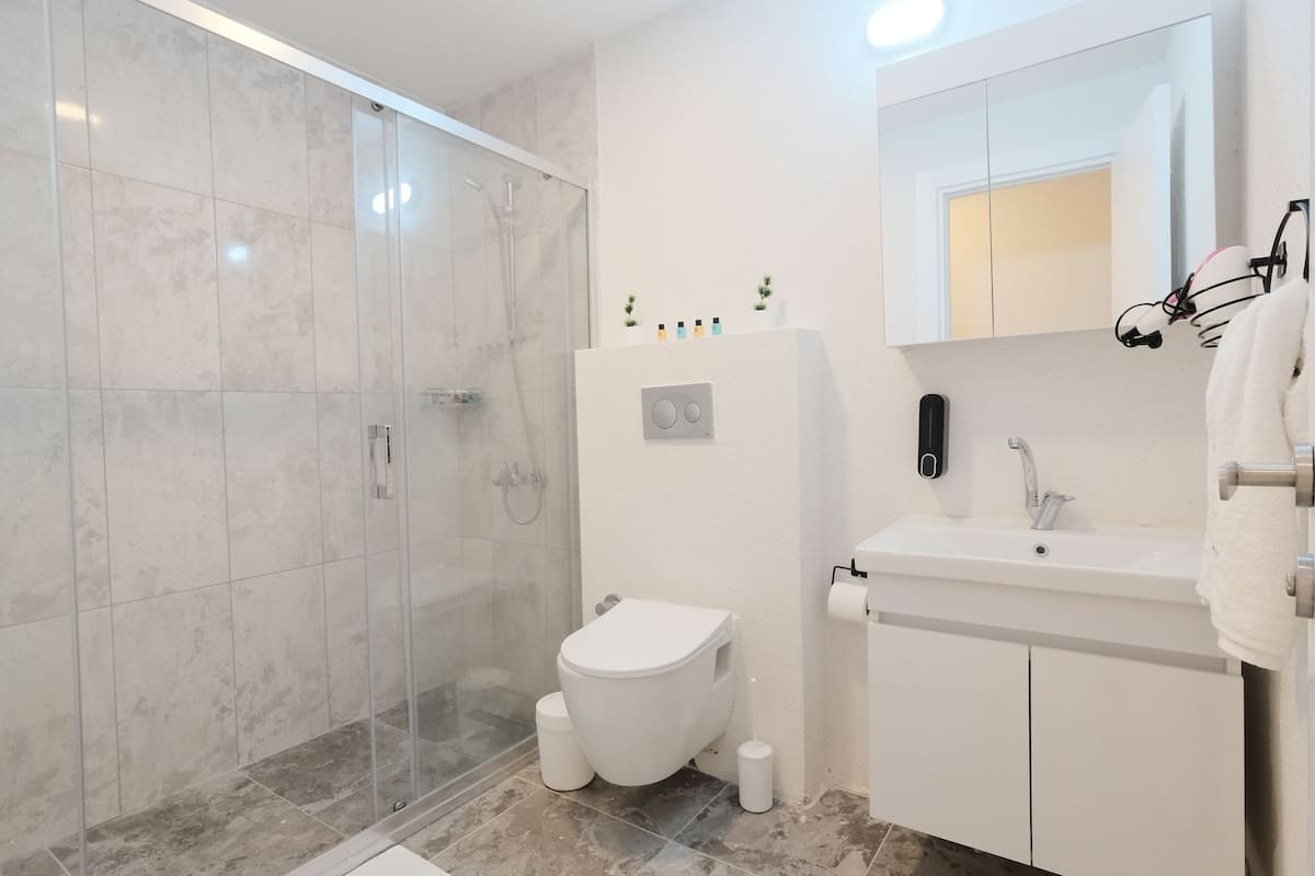 standard room | bathroom | shower, free toiletries, hair dryer, dressing gowns