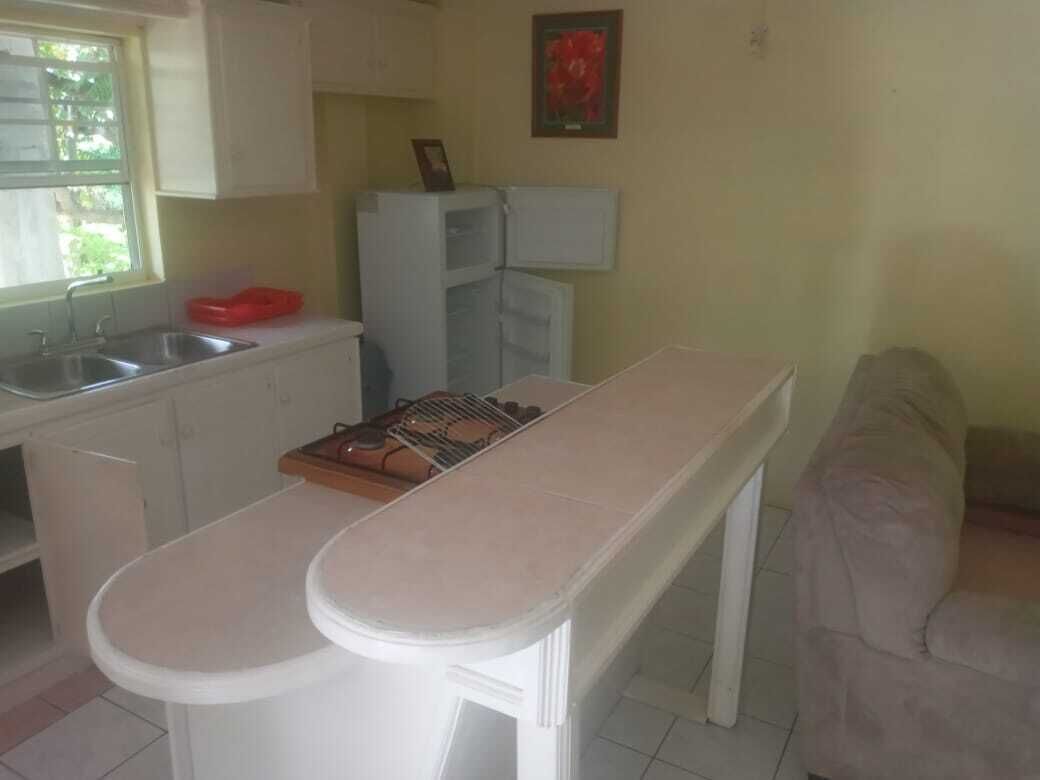 Una cocina compacta con un lavamanos, un refrigerador y una mesa de comedor.