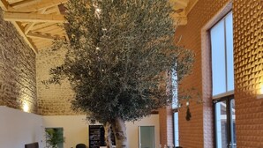 Un restaurante con mesas y sillas de madera, un gran árbol en el centro y paredes de ladrillo.