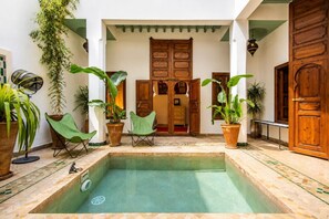 A pool area with a wooden door, potted plants, and a bench.