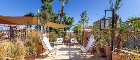 テラス / パティオ