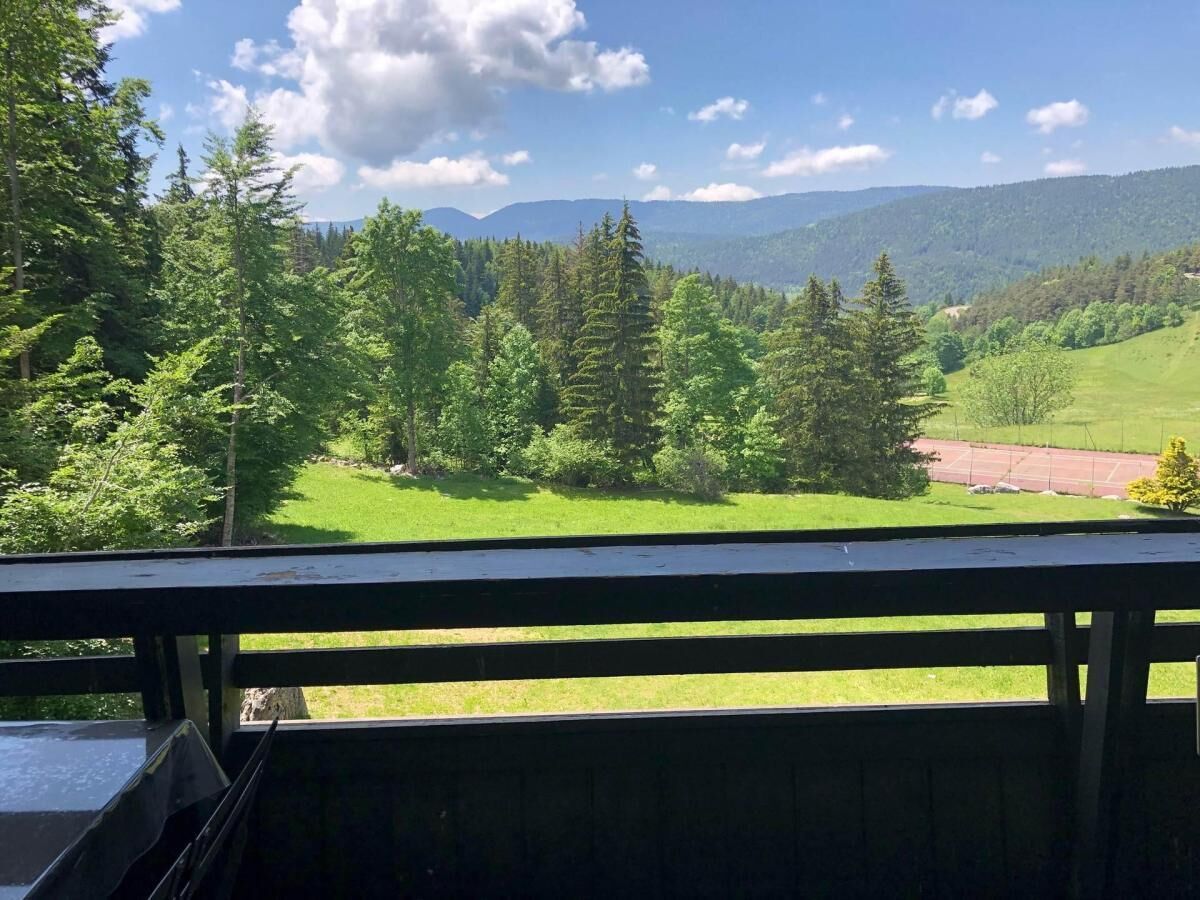 A view from a balcony overlooking a lush green landscape with trees and a distant mountain range.