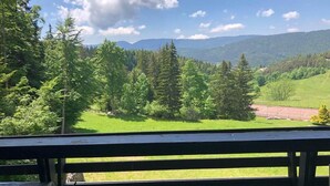 Vista desde un balcón sobre un paisaje verde y exuberante con árboles y una cordillera distante.