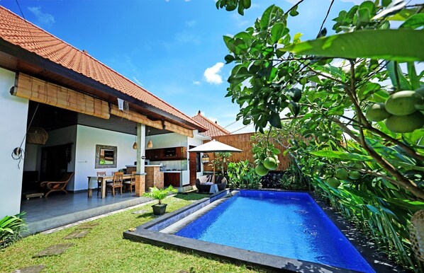 Pool - Three Bedroom Villa In Kerobokan (Bali)