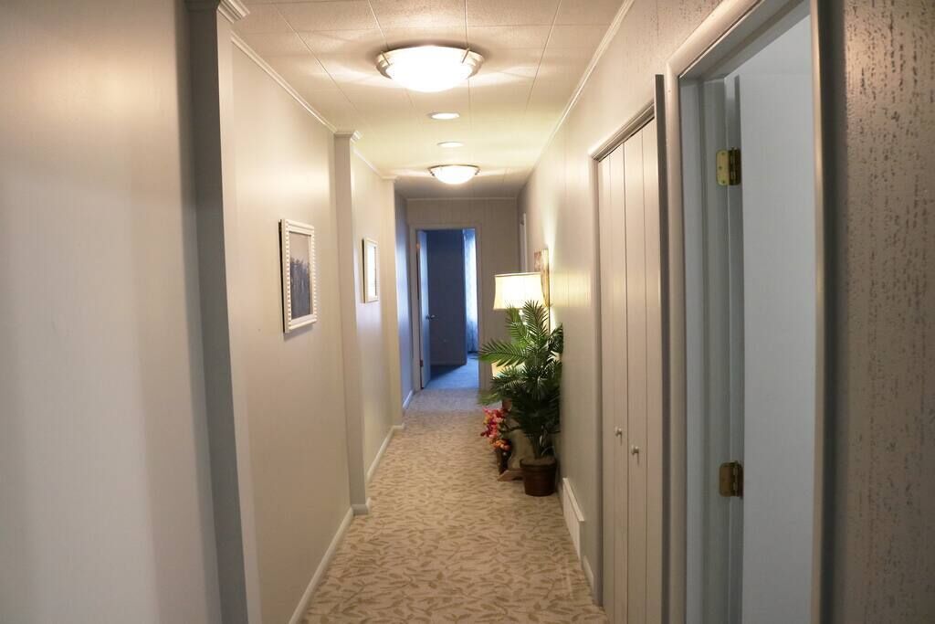 Een hal met tapijttegels, een plafondlamp, een deur aan de rechterkant en een plant aan de linkerkant.