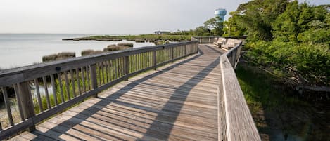 المنطقة المحيطة بالمنشأة