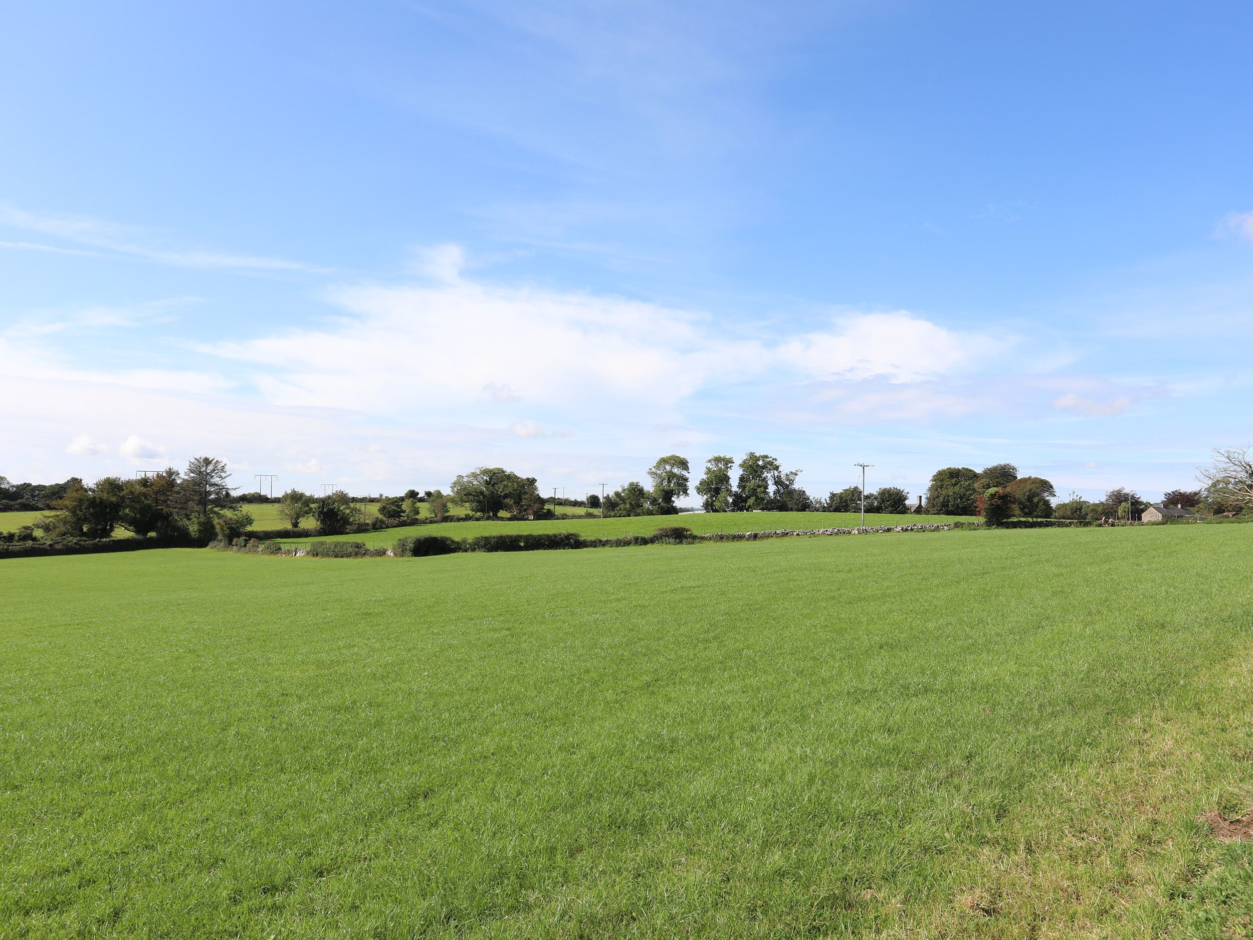 Ein weitläufiges grünes Feld mit einer Steinmauer in der Ferne und verstreuten Bäumen in der Landschaft.