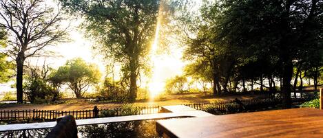 Sundeck
