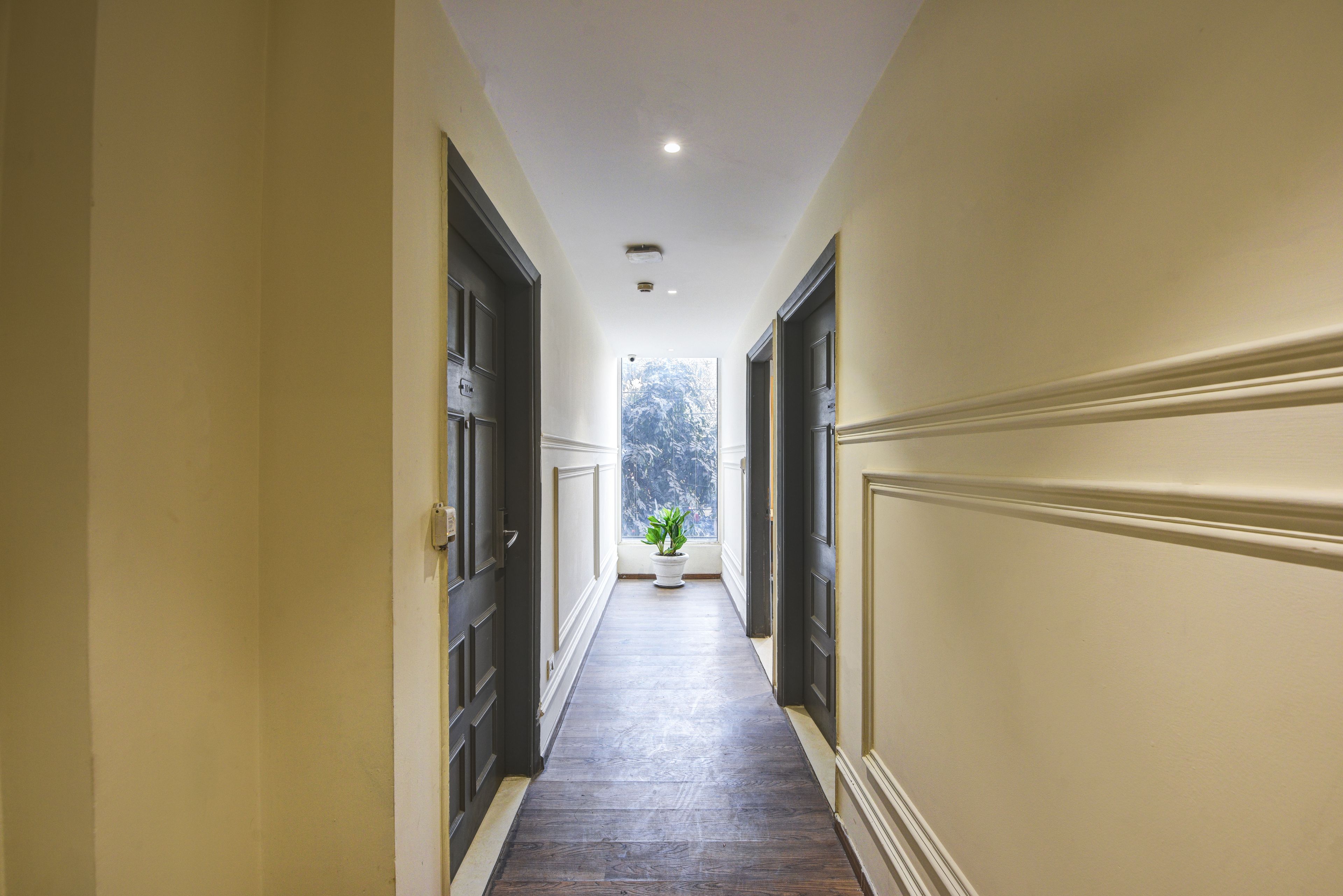 A hallway with dark wooden flooring, white walls, and a potted plant at the end.