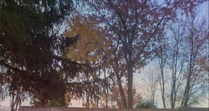 Woodland Cottage Sylvan Beach