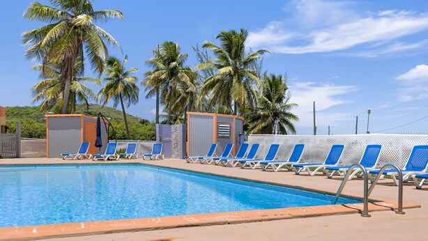 A swimming pool with blue lounge chairs, palm trees, and a clear sky.