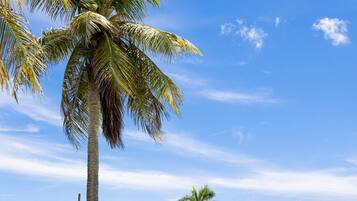 Condo, 1 Bedroom | Property grounds