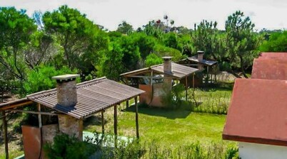 Cabins steps from the beach