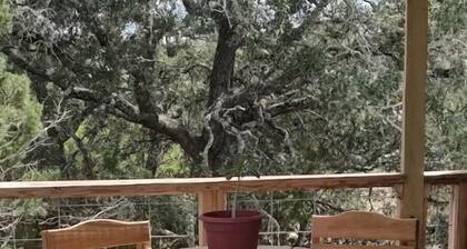The Boulderdash Bird House studio apt! Wonderful tree top setting, in nature!