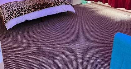 South london Luxury Studio flats