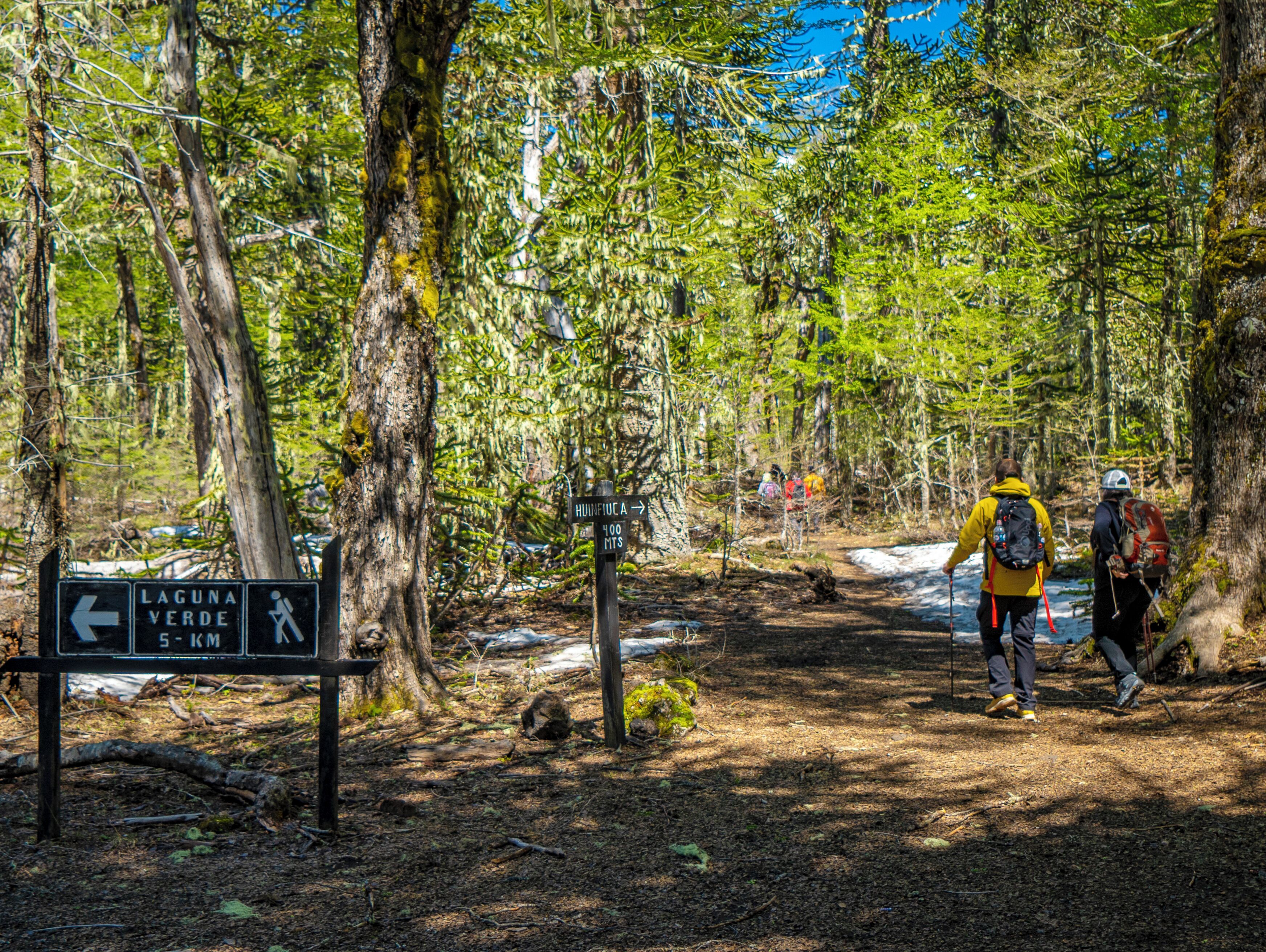 Photo - Vientos del Sur