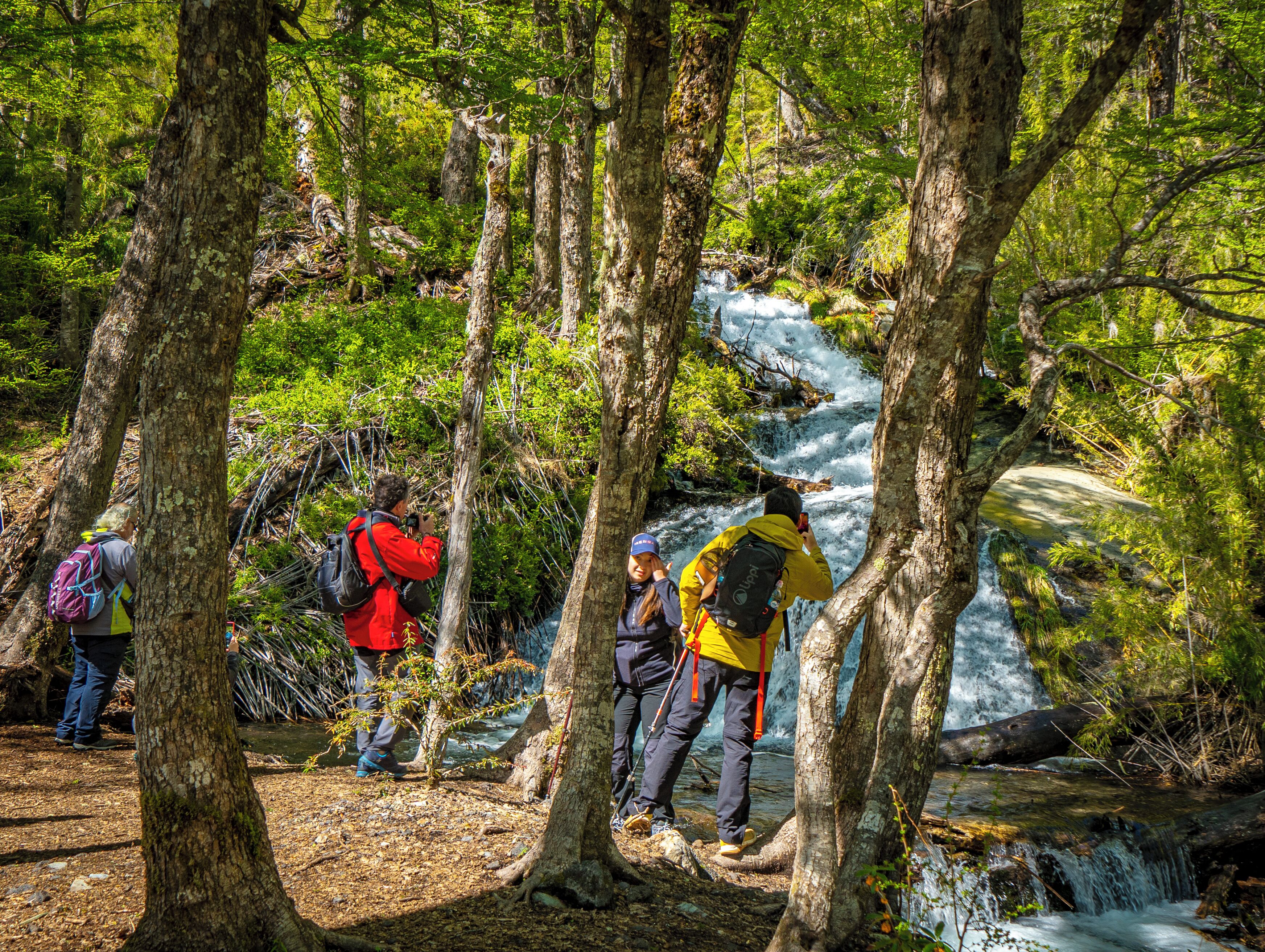 Photo - Vientos del Sur