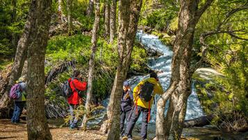 Un área boscosa con una cascada pequeña, rodeada de árboles y excursionistas.