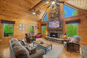 Smart TV, fireplace