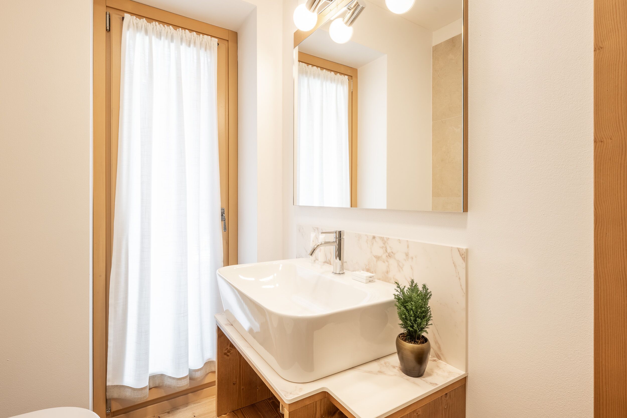 A bathroom with a white sink, a mirror, and a potted plant.