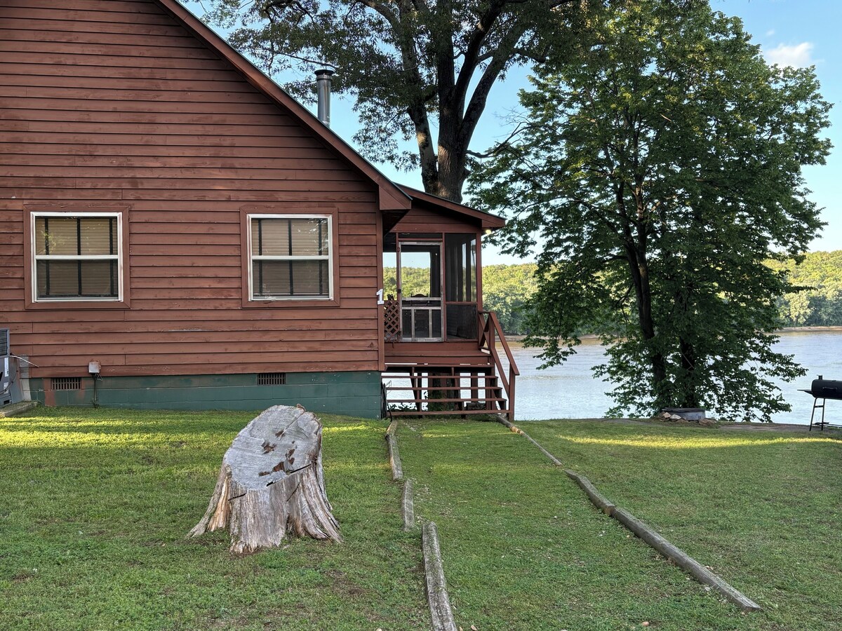 Imagen de perfil del propietario o de la propietaria