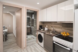 Cocina compacta con lavadora, estufa y lavamanos.