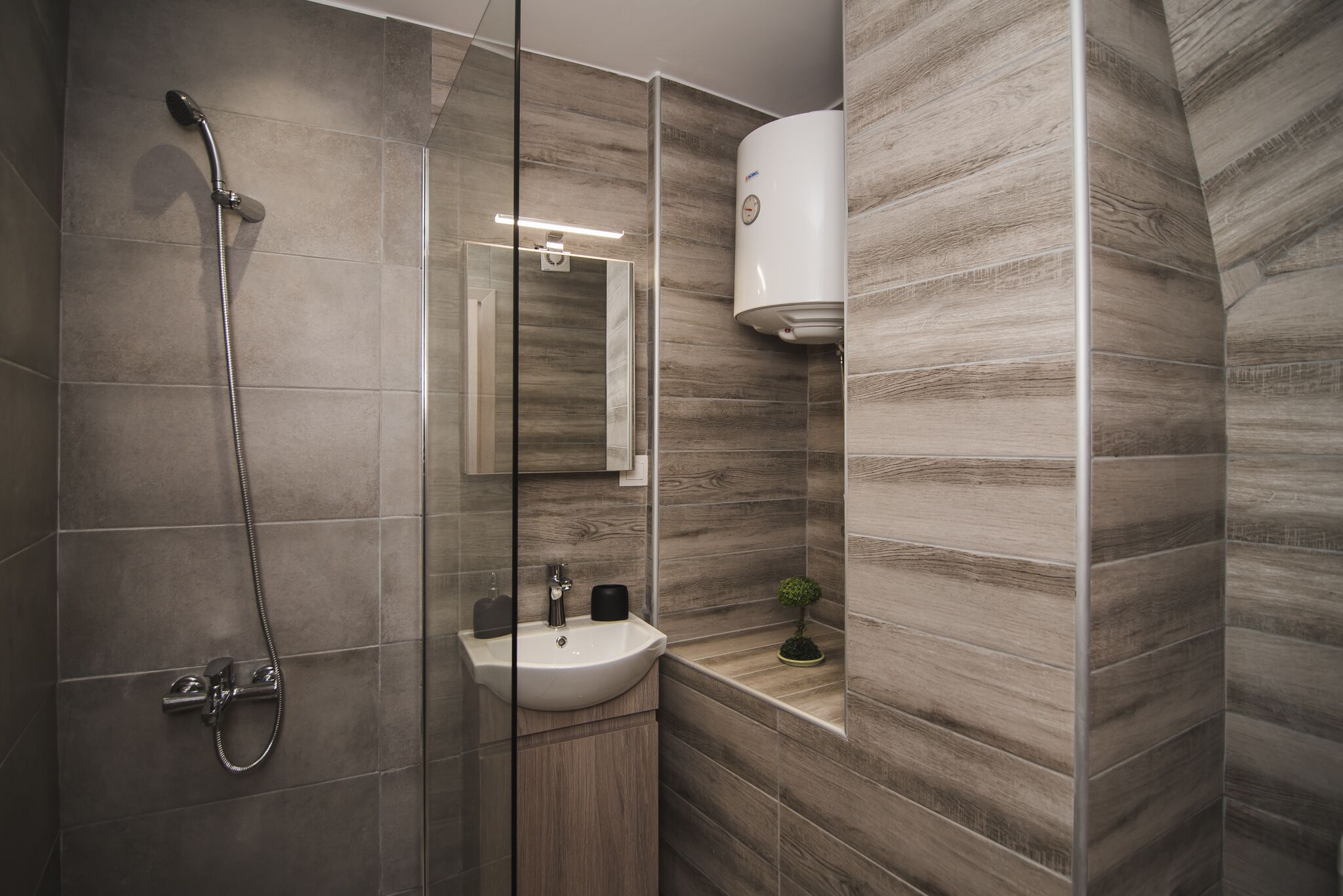 A modern bathroom with a shower, sink, and a small potted plant.