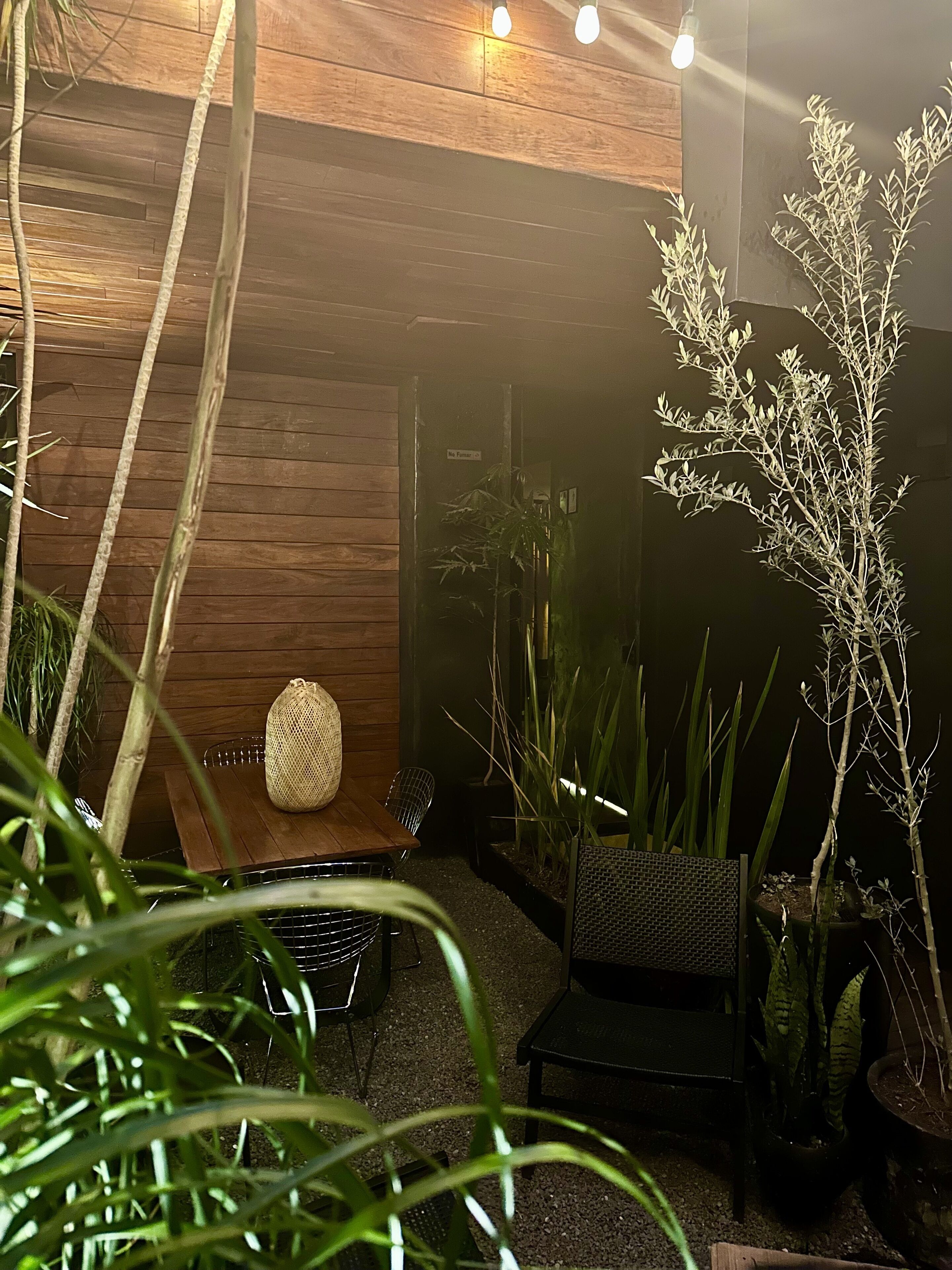 Terraza o patio