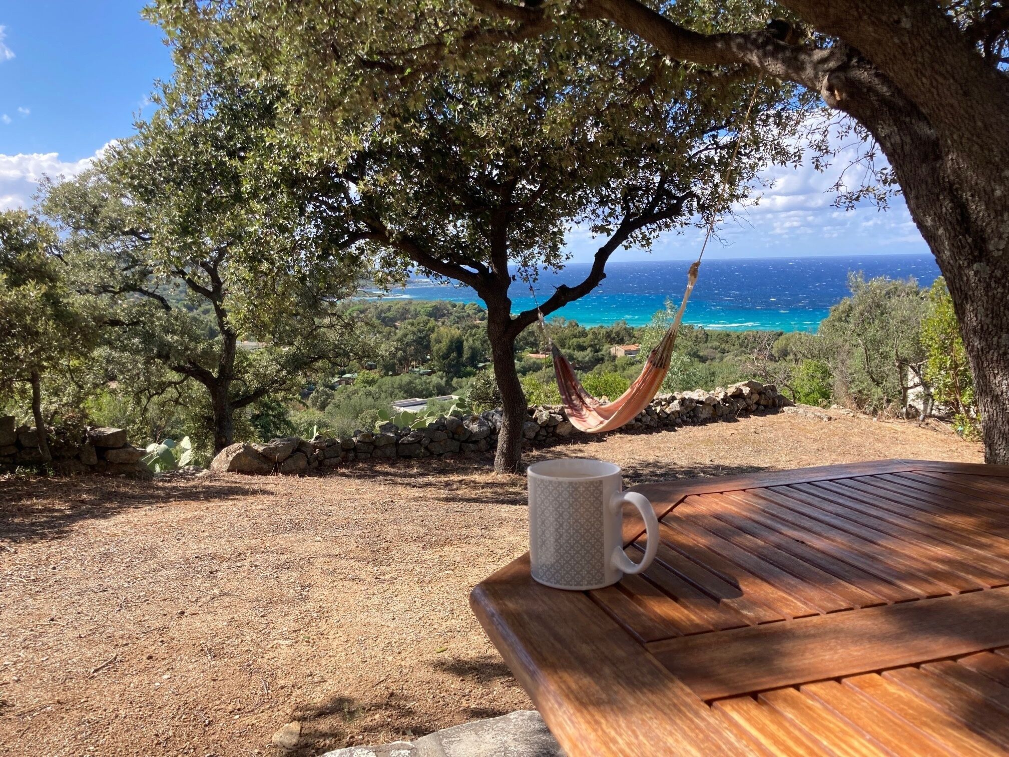 A hammock under a tree, a wooden table with a mug, and a view of the ocean.