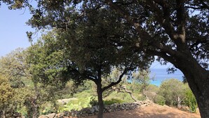 A natural landscape with a large tree, a stone wall, and a view of the countryside. - Petite Pause de Fogata - Jolie vue mer (Corbara)