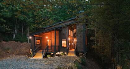 New Luxe Treetop Cabin Hot tub Near DT