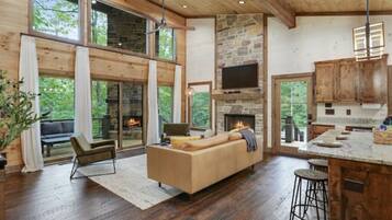 Smart TV, fireplace, books, music library