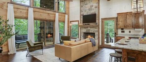 Smart TV, fireplace, books, music library