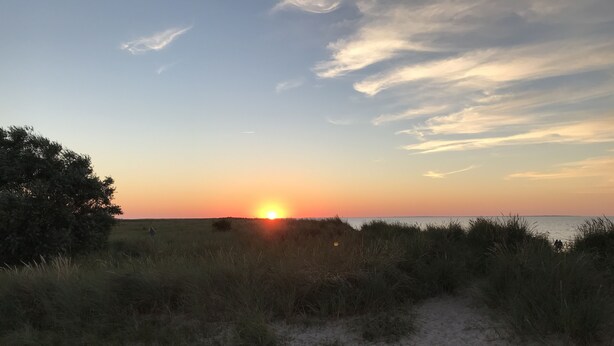 Escena de playa con atardecer, arena y vegetación escasa.