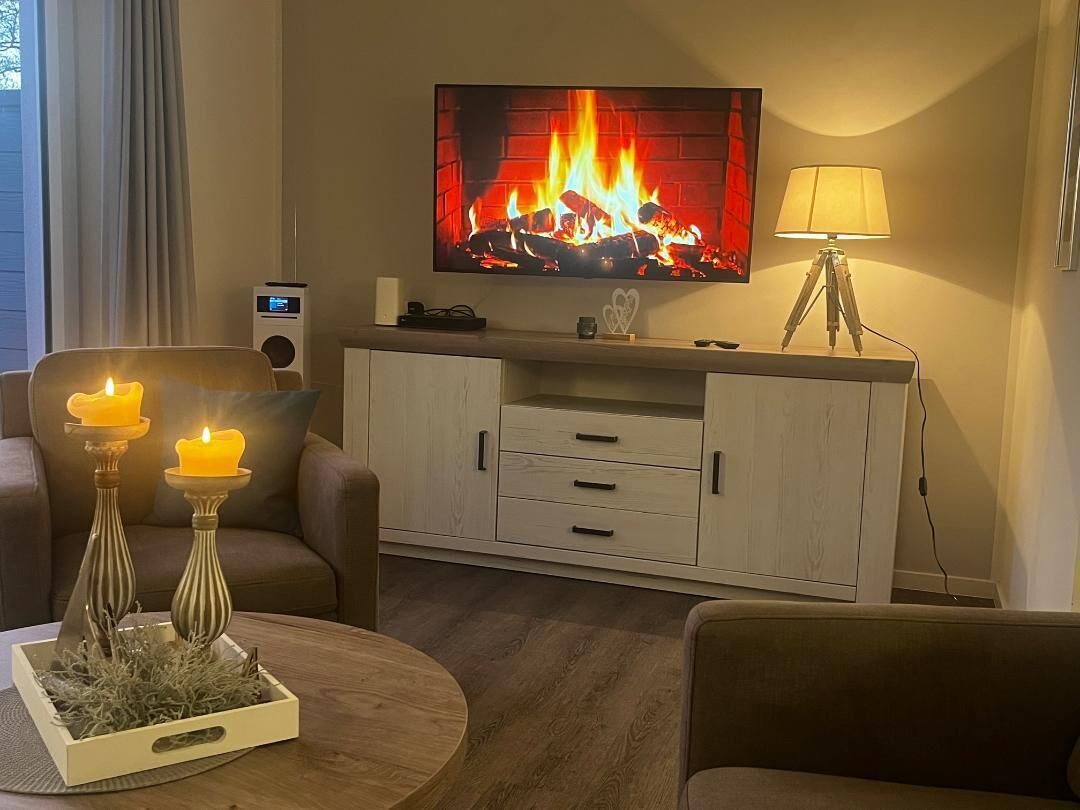TV connectée, cheminée, lecteur de DVD, livres