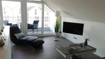 TV connectée, cheminée, lecteur de DVD, livres