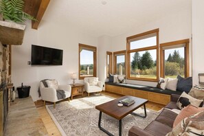 TV connectée, cheminée, livres