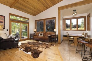 TV connectée, cheminée, livres