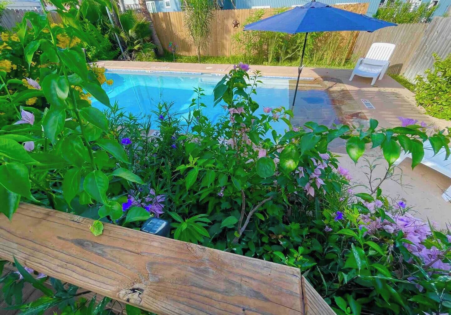 Utendørsbasseng og et oppvarmet basseng